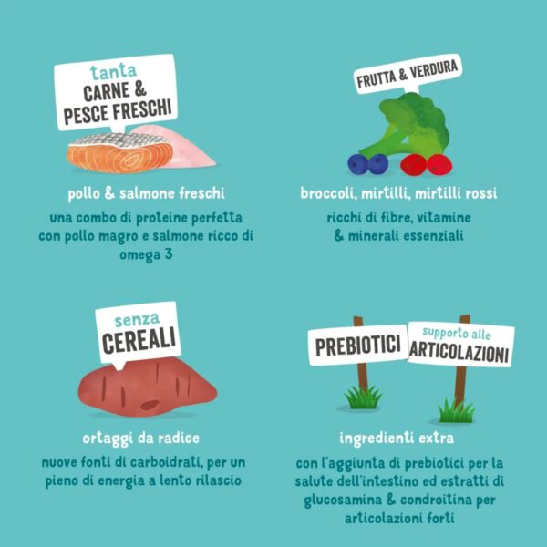 Edgard & Cooper Crocchette Cani Senior 2,5 Kg – Salmone e Pollo Freschi – Alimento Naturale e Leggero per Cani Anziani - immagine 5