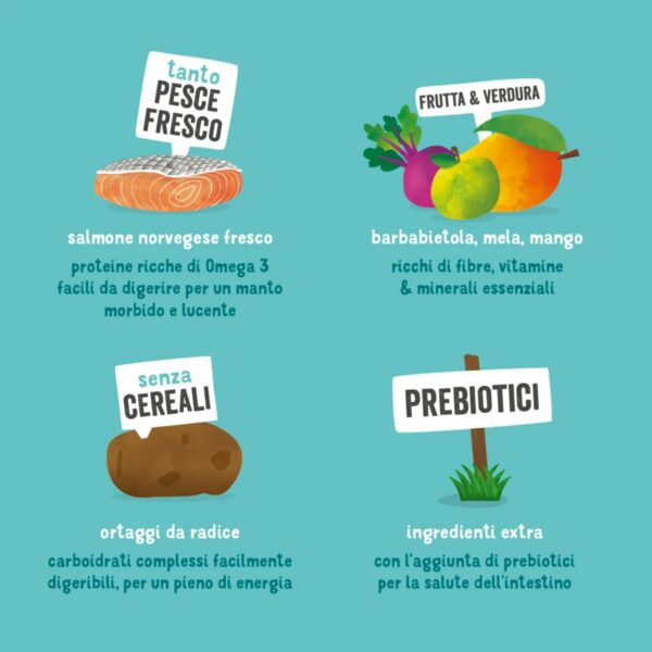 Edgard & Cooper Crocchette Cani Adulti 12Kg – Salmone Fresco – Alimento Secco Naturale Ricco di Omega 3 per Cani di Taglia Media e Grande - immagine 4