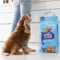 Edgard & Cooper Crocchette Cani Adulti 12Kg – Salmone Fresco – Alimento Secco Naturale Ricco di Omega 3 per Cani di Taglia Media e Grande - immagine 5