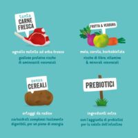 Edgard & Cooper Crocchette Cani Adulti 7Kg – Agnello Fresco – Alimento Naturale e Nutriente per Cani di Taglia Media e Grande - immagine 6