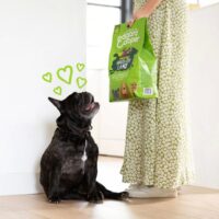 Edgard & Cooper Crocchette Cani Adulti 7Kg – Agnello Fresco – Alimento Naturale e Nutriente per Cani di Taglia Media e Grande - immagine 8