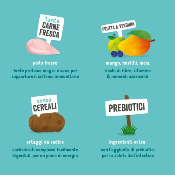 Edgard & Cooper Crocchette Cani Adulti 12Kg – Pollo Fresco – Alimento Secco Naturale e Bilanciato per Cani di Taglia Media e Grande - immagine 7