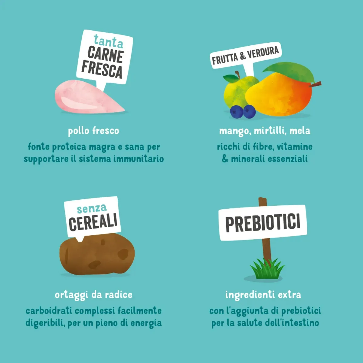 Edgard & Cooper Crocchette Cani Adulti 2,5 Kg – Pollo Fresco – Alimento Secco Naturale e Bilanciato per Cani di Taglia Media e Grande - immagine 6