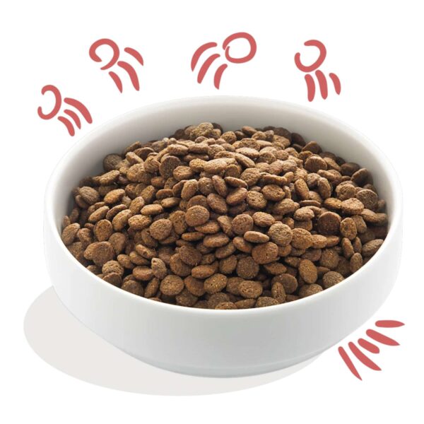 Edgard & Cooper Crocchette Cani Adulti 2,5 Kg – Pollo Fresco – Alimento Secco Naturale e Bilanciato per Cani di Taglia Media e Grande - immagine 4