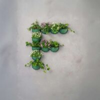 Bama Gerla Puzzle – Set 6 Vasi da Parete Componibili Colore Muschio per Piante da Interni ed Esterni - immagine 5