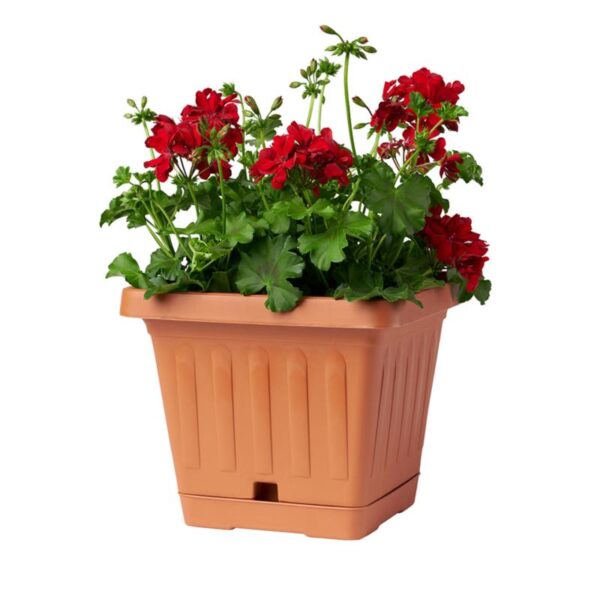 Bama – Vaso Quadrato 50x50 cm – Vaso Grande da Terra per Piante, Giardino o Terrazzo - immagine 4