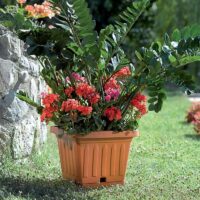 Bama – Vaso Quadrato 50x50 cm – Vaso Grande da Terra per Piante, Giardino o Terrazzo - immagine 3