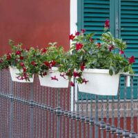 Bama Fioriera Rondine 60x20x18,5 cm – Vaso da Balcone in Resina Colore Panna, Elegante e Resistente per Esterni - immagine 4