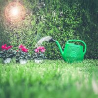 Annaffiatoio Ecoplast 10 Litri in Plastica Verde – Pratico e Resistente per Giardino, Orto e Balcone – 47,5x19x36 cm - immagine 5
