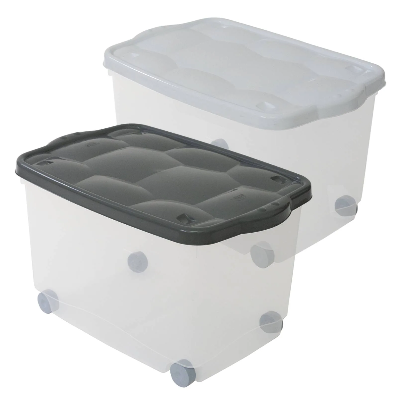 Contenitore plastica BELLI E FORTI con coperchio