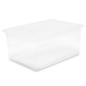 Scatola Plastica Belli e Forti Spring Box 55x39x25 cm