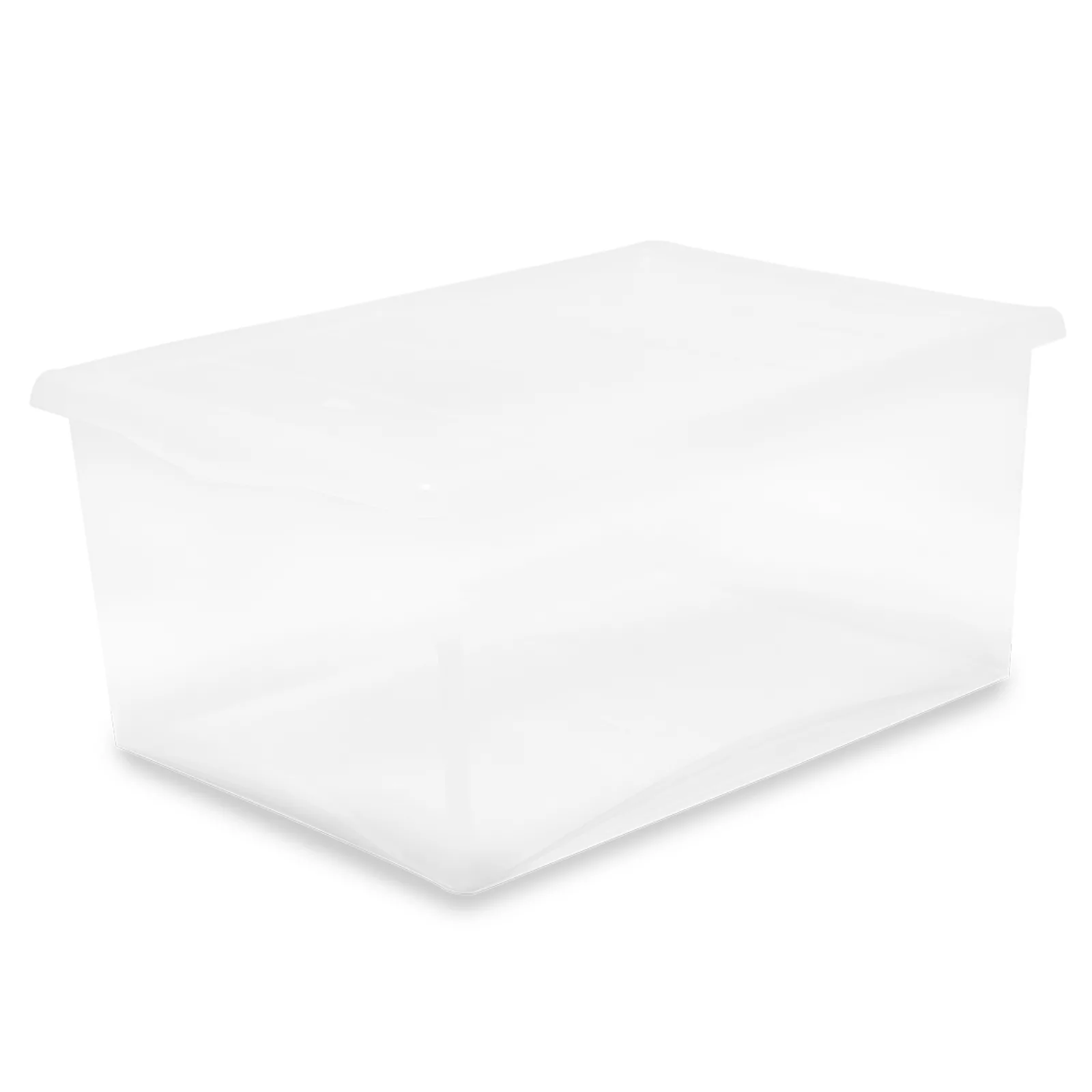 Scatola Plastica Belli e Forti Spring Box 55x39x25 cm