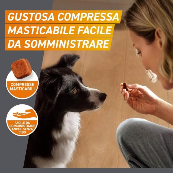 FRONTPRO Cani 4-10 kg – Antiparassitario in Compresse Masticabili con Afoxolaner 28,3 mg, 3 Dosi contro Pulci, Zecche, Uova e Larve - immagine 3