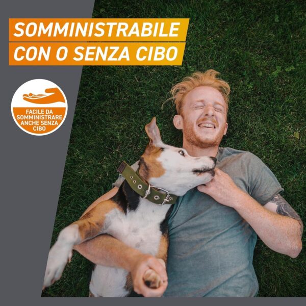 FRONTPRO Cani 10-25 kg – 3 Compresse Masticabili Antiparassitarie con Afoxolaner 68 mg contro Pulci, Zecche, Uova e Larve - immagine 5