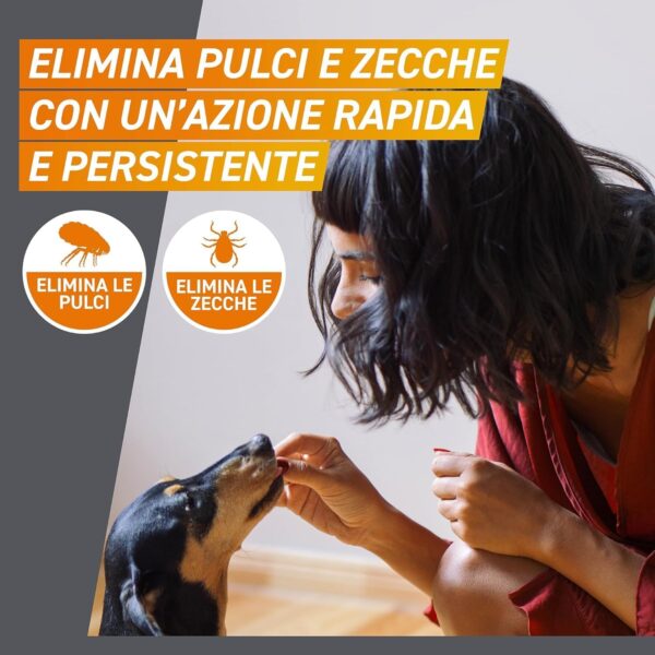 FRONTPRO Cani 25-50 kg – 3 Compresse Masticabili Antiparassitarie con Afoxolaner 136 mg contro Pulci, Zecche, Uova e Larve - immagine 4