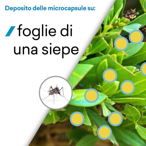 Insetticida Concentrato 250 ml Made in Italy – Azione Mirata su Insetti Volanti e Striscianti con Tecnologia Microincapsulata - immagine 4