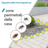 Insetticida Concentrato 250 ml Made in Italy – Azione Mirata su Insetti Volanti e Striscianti con Tecnologia Microincapsulata - immagine 5