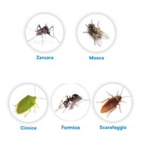 Insetticida Concentrato 250 ml Made in Italy – Azione Mirata su Insetti Volanti e Striscianti con Tecnologia Microincapsulata - immagine 6