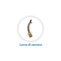 Vebi – Larvicida Antizanzare in Compresse Effervescenti – 50 Compresse da 100g, Efficace Contro Tutte le Zanzare, Made in Italy - immagine 6