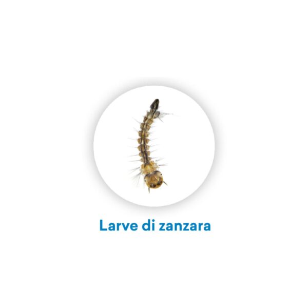 Vebi – Larvicida Antizanzare in Compresse Effervescenti – 50 Compresse da 100g, Efficace Contro Tutte le Zanzare, Made in Italy - immagine 6