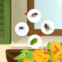Vebi – Insetticida Acaricida Liquido 1 Litro – Azione Rapida Contro Insetti e Acari, Efficace su Infestazioni, Made in Italy - immagine 5