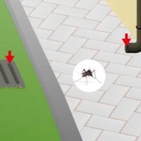 Vebi – Insetticida Acaricida Liquido 1 Litro – Azione Rapida Contro Insetti e Acari, Efficace su Infestazioni, Made in Italy - immagine 6