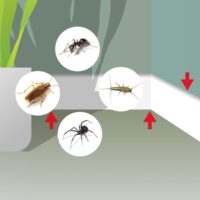 Vebi – Insetticida Acaricida Liquido 1 Litro – Azione Rapida Contro Insetti e Acari, Efficace su Infestazioni, Made in Italy - immagine 7