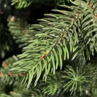 Albero di Natale "Winter Elegance" CM.210 PE+PVC – 1418 Rami per un Effetto Naturale, Diametro 124 cm - immagine 3