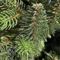 Albero di Natale "Winter Elegance" CM.210 PE+PVC – 1418 Rami per un Effetto Naturale, Diametro 124 cm - immagine 4