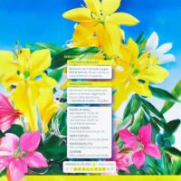 Crescita Miracolosa – Concime Granulare Universale per Piante da Interno ed Esterno – Formato 450g - immagine 5