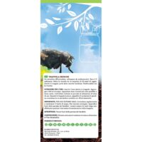 Fito Bio Trappola per Mosche con Esca Naturale Inclusa - immagine 3