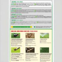 Blumen Prato SOS Mix 2 in 1 | Seme e Concime Rigenerante per Prati Verdi e Folti - immagine 2