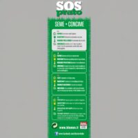Blumen Prato SOS Mix 2 in 1 | Seme e Concime Rigenerante per Prati Verdi e Folti - immagine 3