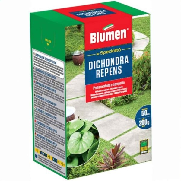 Blumen semi tappeto erboso nano perenne – prato compatto, morbido e senza bisogno di taglio
