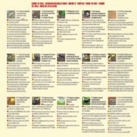 Blumen – Semi Prato Erboso Folto e Compatto 500 g – Miscuglio Erba da Giardino Resistente al Caldo e alla Siccità, Ideale per Ambienti Freschi - immagine 2