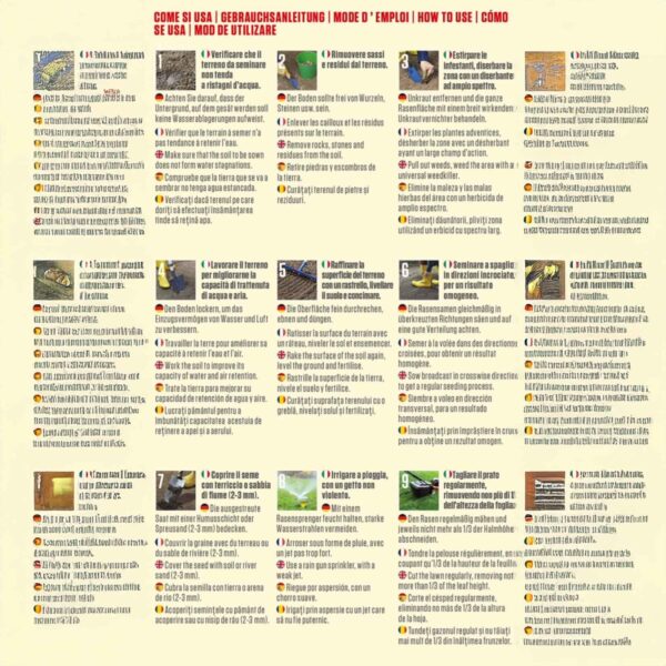 Blumen – Semi Prato Erboso Folto e Compatto 500 g – Miscuglio Erba da Giardino Resistente al Caldo e alla Siccità, Ideale per Ambienti Freschi - immagine 2