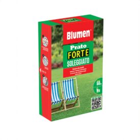 Semi prato forte soleggiato Blumen – resistenti al sole, germinazione rapida