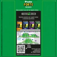 Blumen Semi Prato Forte per Zone Soleggiate – Erba da Giardino Resistente, Tappeto Erboso Verde, Facile da Coltivare - immagine 3