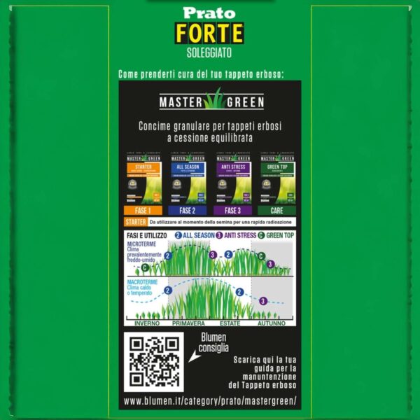Blumen Semi Prato Forte per Zone Soleggiate – Erba da Giardino Resistente, Tappeto Erboso Verde, Facile da Coltivare - immagine 3
