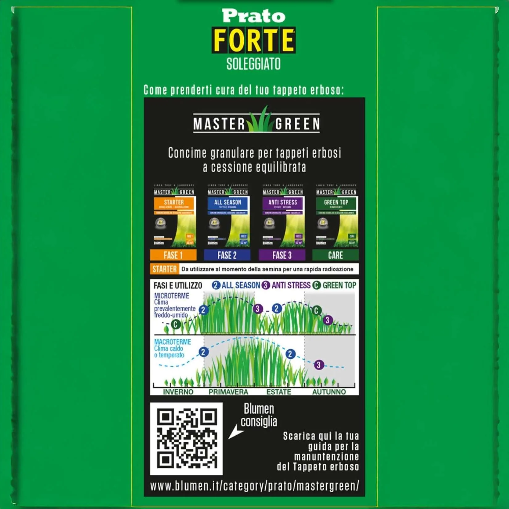 Blumen Semi Prato Forte per Zone Soleggiate – Erba da Giardino Resistente, Tappeto Erboso Verde, Facile da Coltivare – 200 Gr - immagine 3