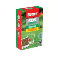 Blumen SOS Prato Rigenerante – Mix Semi per Rinnovo Prato con Germinazione Rapida e Alta Resistenza al Sole e al Calpestio, per Restauro Manto Erboso