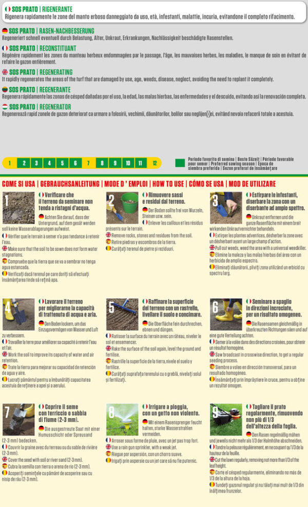 Blumen SOS Prato Rigenerante – Mix Semi per Rinnovo Prato con Germinazione Rapida e Alta Resistenza al Sole e al Calpestio, per Restauro Manto Erboso - immagine 2