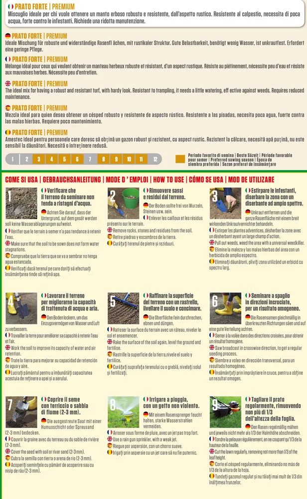 Blumen – Prato Forte Premium – Semi per Prato Calpestabile 200 g, Bassa Manutenzione, Resistente alla Siccità e alle Infestanti - immagine 2