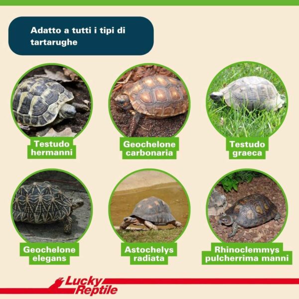 Lucky Reptile Substrato Tartarughe Terra 20L – Terriccio Naturale Marrone per Habitat e Terrari - immagine 3