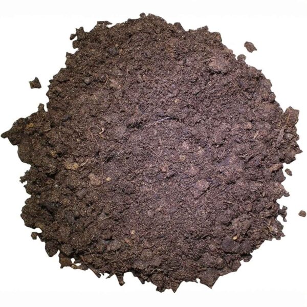 Lucky Reptile Substrato Tartarughe Terra 20L – Terriccio Naturale Marrone per Habitat e Terrari - immagine 4