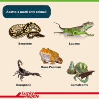 Lucky Reptile Substrato Tartarughe Terra 20L – Terriccio Naturale Marrone per Habitat e Terrari - immagine 5