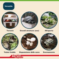 Lucky Reptile Substrato Tartarughe Terra 20L – Terriccio Naturale Marrone per Habitat e Terrari - immagine 6