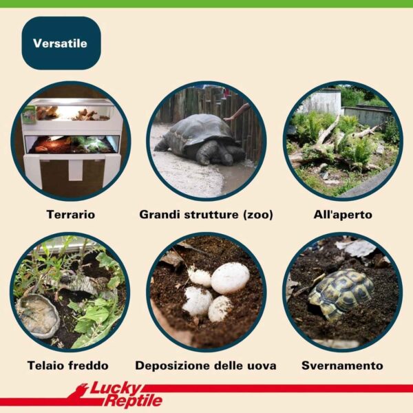 Lucky Reptile Substrato Tartarughe Terra 20L – Terriccio Naturale Marrone per Habitat e Terrari - immagine 6