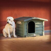 Bama – Bungalow Cuccia per Cani da Esterno Verde 89x75x62 cm – Robusta, Ventilata e Facile da Pulire - immagine 5