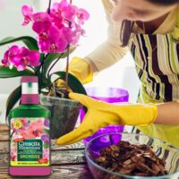Crescita Miracolosa – Concime Orchidee 200 ml – NPK 3-6-7 - immagine 4